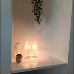 The Luxury White *